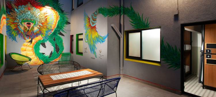 精品客栈 Casa MX Centro(Hostal Casa MX Centro)图片