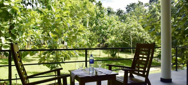 萨法里女王度假酒店(Safari Queens Resort)图片