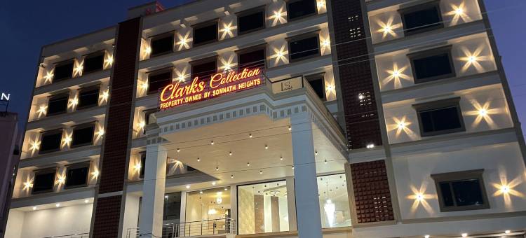 克拉克斯集合索姆纳特(Clarks Collection Somnath)图片