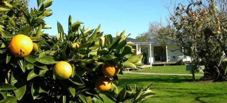 白象住宿-旅馆(White Elephant Accommodation)图片