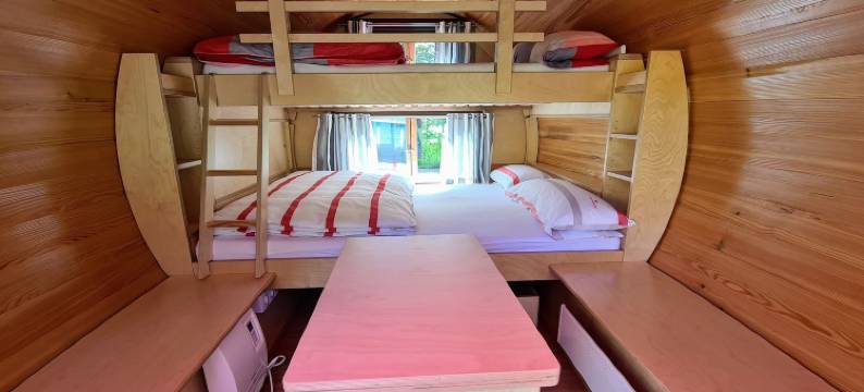 蝴蝶之家(Haus der Schmetterlinge)图片