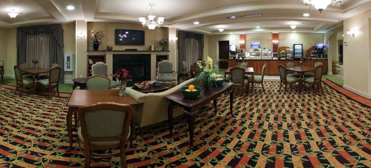 I-26和Us 29韦斯特盖特商场智选假日套房酒店(Holiday Inn Express & Suites I-26 & US 29 at Westgate Mall)图片