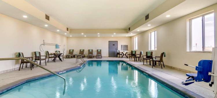 萨莱纳北舒适套房酒店(Comfort Inn & Suites Salina North)图片