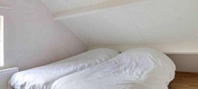 度假屋带露台在Bedafse Bergen(Holiday Home with a Terrace at Bedafse Bergen)图片