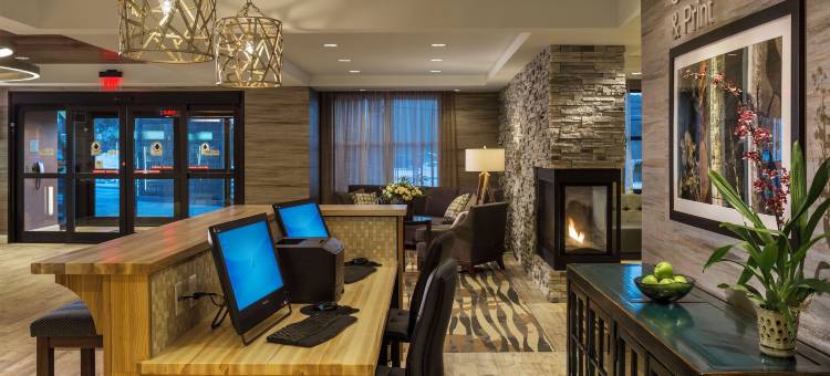 沃特伯里斯托万枫酒店及套房(Fairfield Inn & Suites Waterbury Stowe)图片