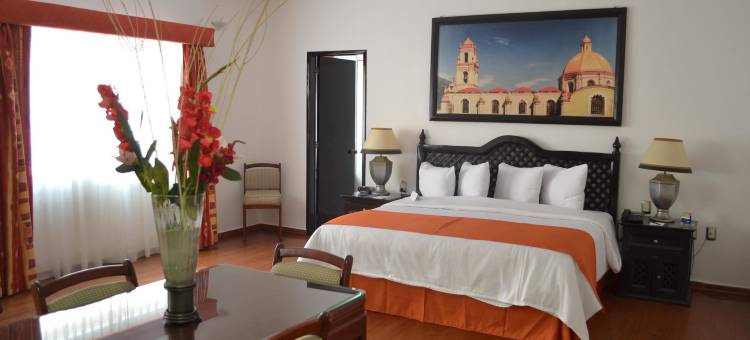 奥里萨巴使命酒店(Hotel Misión Orizaba)图片