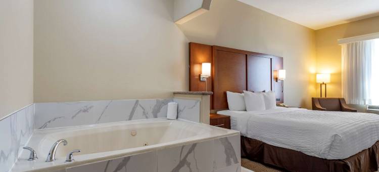 舒适套房酒店-近德克萨斯医学中心NRG体育场(Comfort Suites Near Texas Medical Center - NRG Stadium)图片