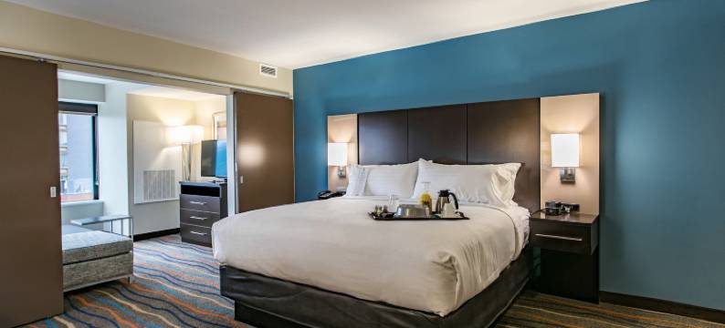 假日套房酒店-查塔努加市区(Holiday Inn & Suites CHATTANOOGA DOWNTOWN by IHG)图片