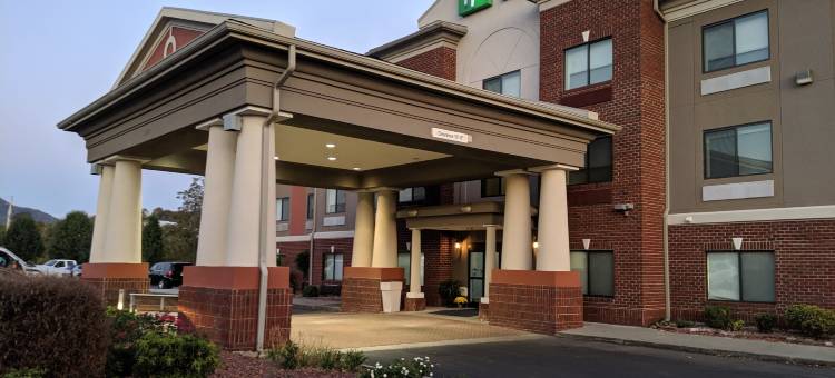 克莱浦山里奇兰兹区智选假日酒店及套房(Holiday Inn Express & Suites Claypool Hill (Richlands Area))图片