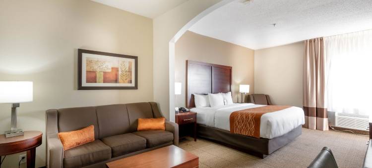 舒适酒店及套房-达拉斯市场中心(Comfort Inn & Suites Love Field-Dallas Market Center)图片