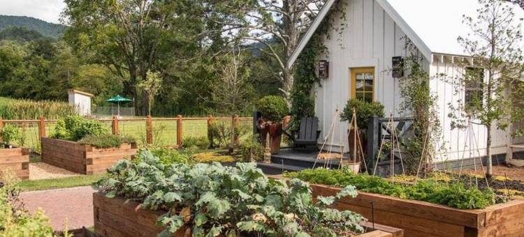 朱莱普农场的小屋(Cottages at Julep Farms)图片