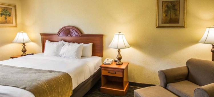 朱庇特I-95号舒适套房酒店(Comfort Inn & Suites Jupiter I-95)图片
