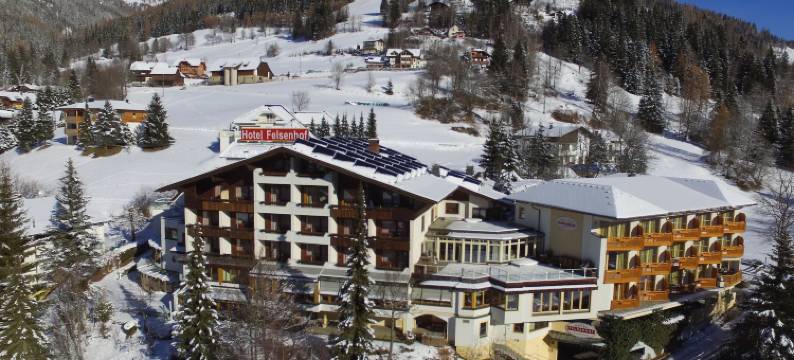 沃尔福尔菲尔森霍夫艮纳斯酒店(Wohlfühl & Genusshotel Felsenhof)图片