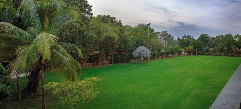 Narayani Heights Hotel & Resort图片