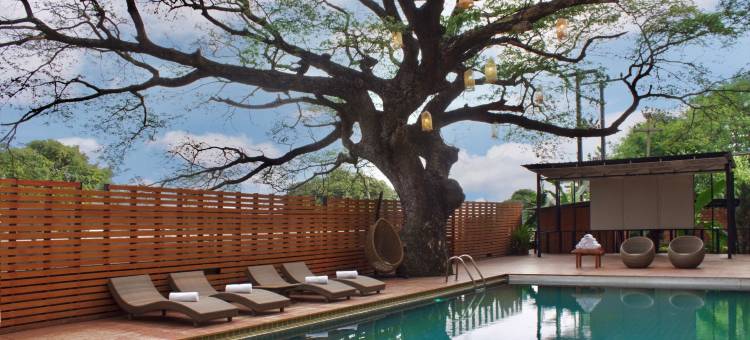 清迈班布里精品度假村(Bamboori Boutique Resort)图片