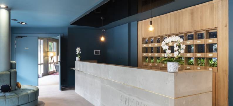 黑色低音酒店(Black Bass Hotel)图片