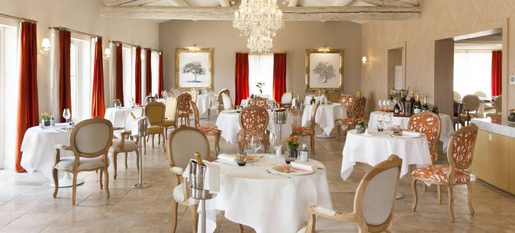 玛斯德埃赫贝斯布兰奇Spa酒店 - 放松&城堡(Mas des Herbes Blanches Hôtel & Spa – Relais & Châteaux)图片