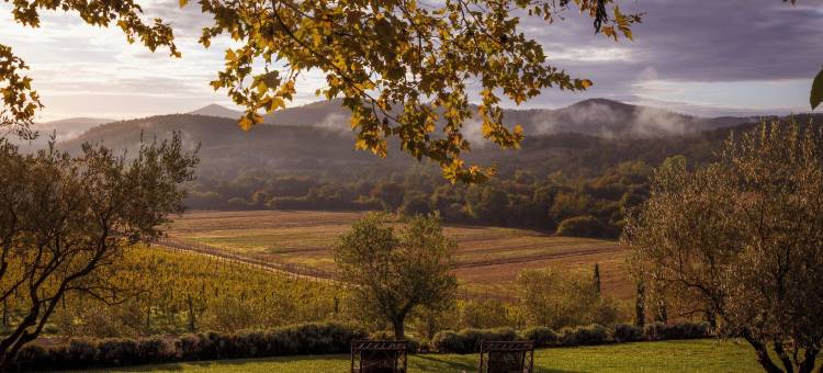 博尔戈圣彼得酒店(Borgo Santo Pietro)图片