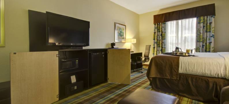 Holiday Inn 克里斯琴斯堡布莱克斯堡(Holiday Inn CHRISTIANSBURG BLACKSBURG by IHG)图片