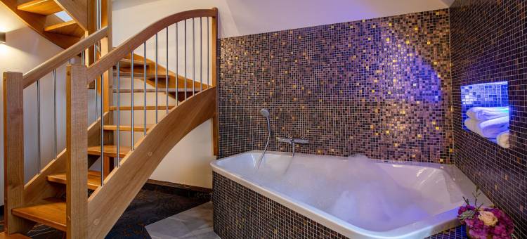 阿格诺欧洲 SPA 酒店(Europe Haguenau – Hotel & Spa)图片