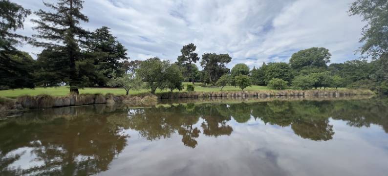 雪松汽车旅馆(Cedar Lodge Motel)图片