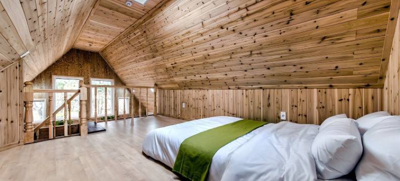 棕色小屋旅馆(Browncabin Pension)图片