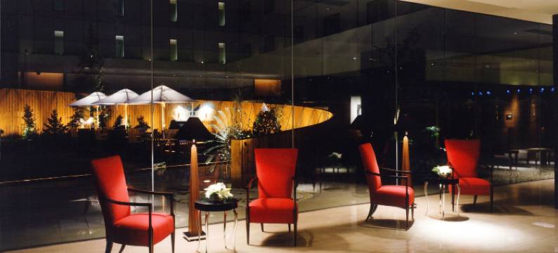 莫利诺新百合丘酒店(Hotel Molino Shin Yuri)图片