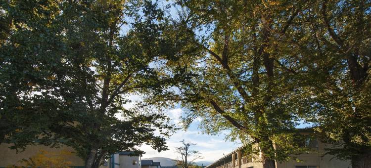 卡森城贝斯特韦斯特酒店(Best Western Carson City Hotel)图片