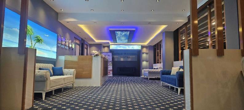 天空蓝伊斯坦布尔酒店(Skyblue Istanbul Hotel)图片