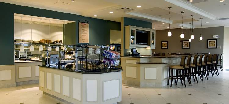 底特律诺维希尔顿花园客栈(HIlton Garden Inn Detroit/Novi)图片