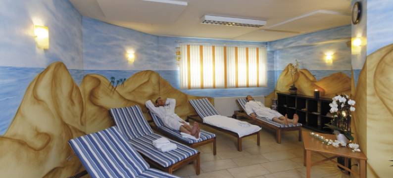 湖滨全景酒店(Panorama-Hotel am See)图片