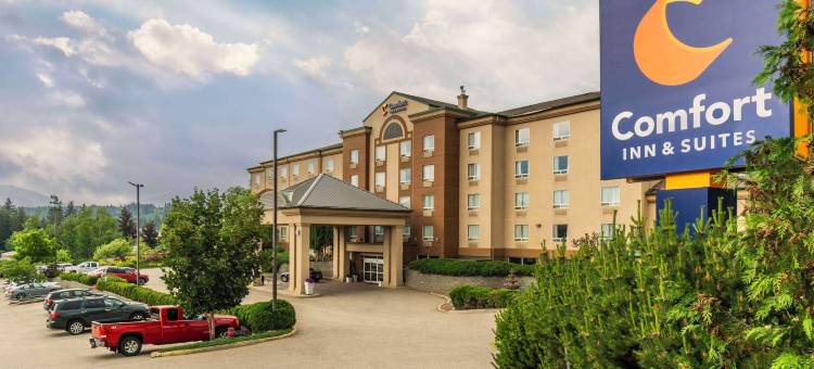 舒适套房酒店(Comfort Inn & Suites)图片