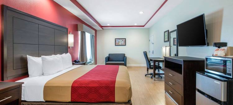 威洛布鲁克伊克诺套房酒店(Econo Lodge Inn & Suites Houston Willowbrook)图片