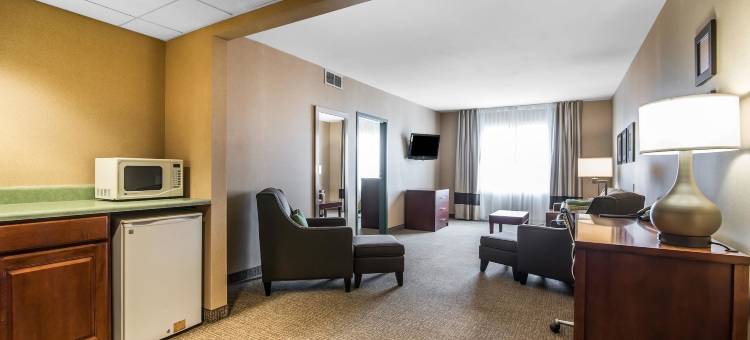 凯艺套房酒店(Quality Inn & Suites)图片