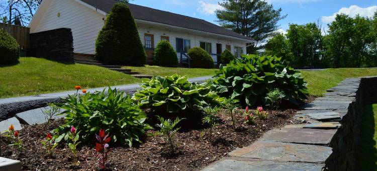 新世界客栈(Hollow Inn and Motel)图片