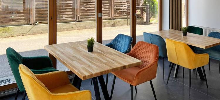 罗伊特林根多梅洛酒店(Dormero Hotel Reutlingen)图片