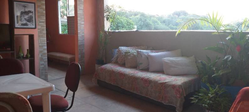 席尔瓦林肯卡洛斯旅馆(Meu Quarto No Rio de Janeiro)图片