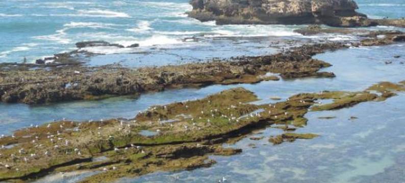 珀尔迪奥摩洛哥传统庭院住宅(Riad Perle d'Eau)图片