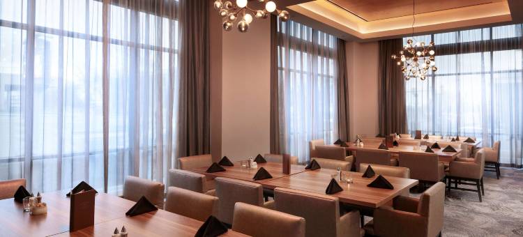 阿马里洛市中心希尔顿安泊酒店(Embassy Suites by Hilton Amarillo Downtown)图片