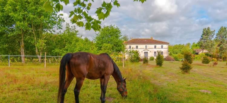 泰尔欧申奈旅馆(Domaine TerrOcéane)图片