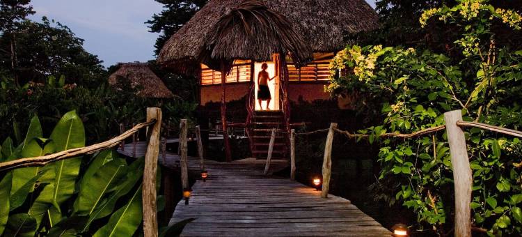 棉花树旅馆(Cotton Tree Lodge)图片