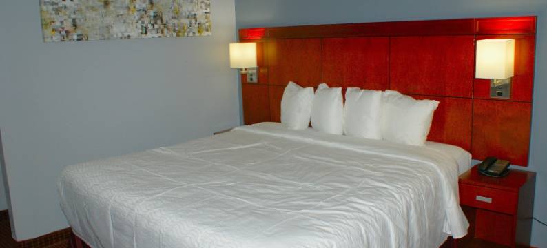 Sonesta Essential Van Buren图片