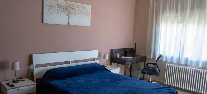 卡尔金(Cal Kim)图片