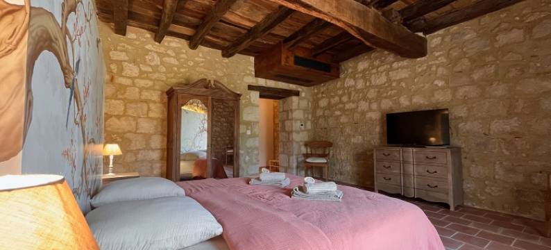 拉萨尔圣克雷阿克庄园(Gîte l'Etable - Domaine Lassalle Saint-créac)图片