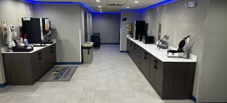 曼切斯特温迈诺特麦客达套房酒店(Microtel Inn & Suites by Wyndham Manchester)图片