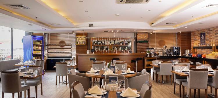 阿奈蒙西格利酒店(Anemon Kent Çiğli Otel)图片