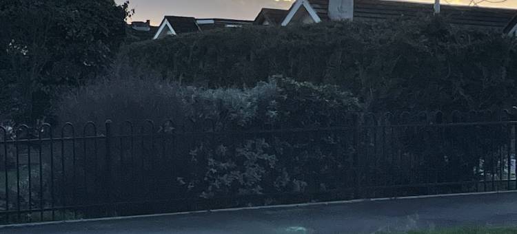 伦敦乌克斯桥美丽的一卧室工作室(1 Bed Studio - Sleeps 2 - Smoking - Parking - Wifi)图片