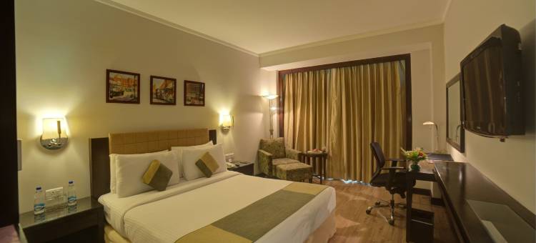 德里NCR金翅雀酒店(Goldfinch Hotel Delhi NCR)图片