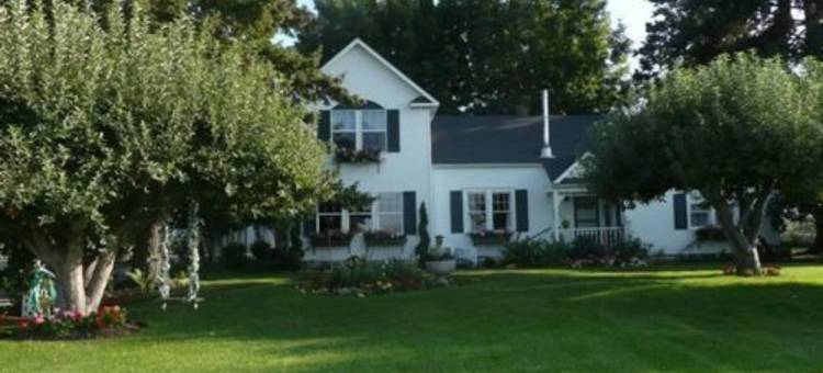 舒适玫瑰旅馆(Cozy Rose Inn)图片