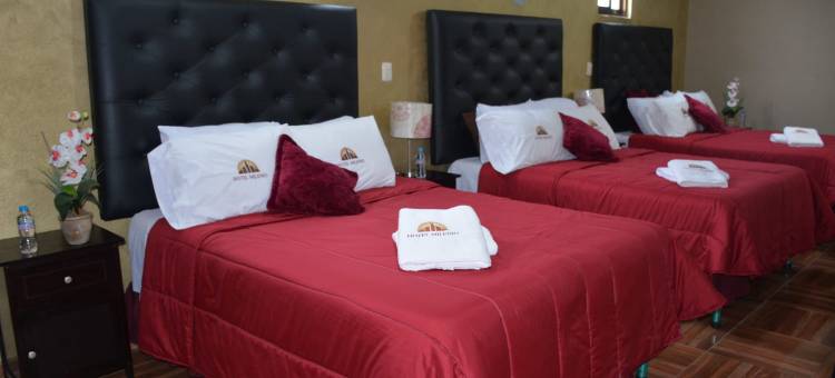 米林尼奥酒店(Hotel Milenio Nanacamilpa Tlaxcala)图片